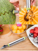2-in-1 Stainless Steel Melon Baller & Fruit Carving Tool
